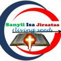 Sanyii isa Jiraataa {Living seed}