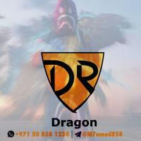 Dragon Store | دراغون