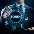 trader forex