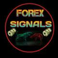 forex signals〽️