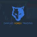 DAWLAD FOREX TRADING✔️🙏