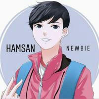 Hamsan Newbie