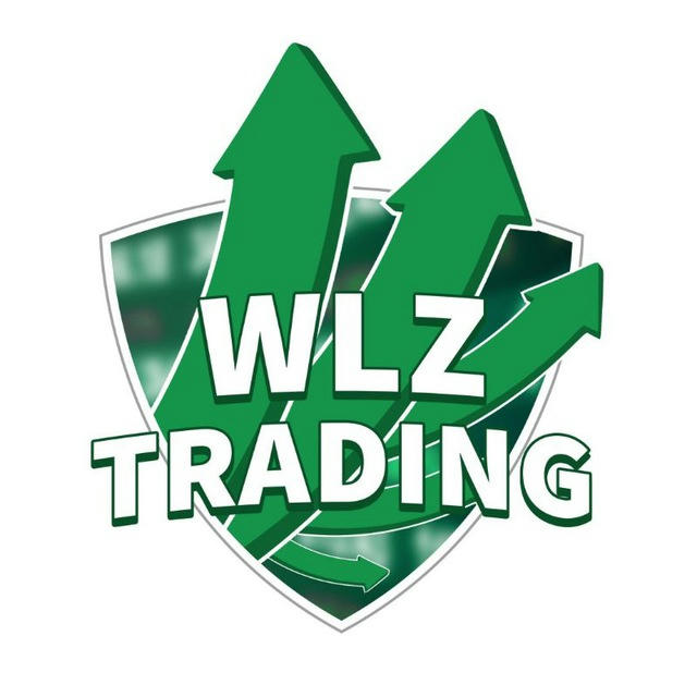 WLZ Investment ™ 