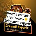 Dream11 Expartz