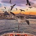 İstanbul ☪