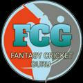Fantasy Cricket Team