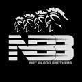 NOT BLOOD BROTHERS