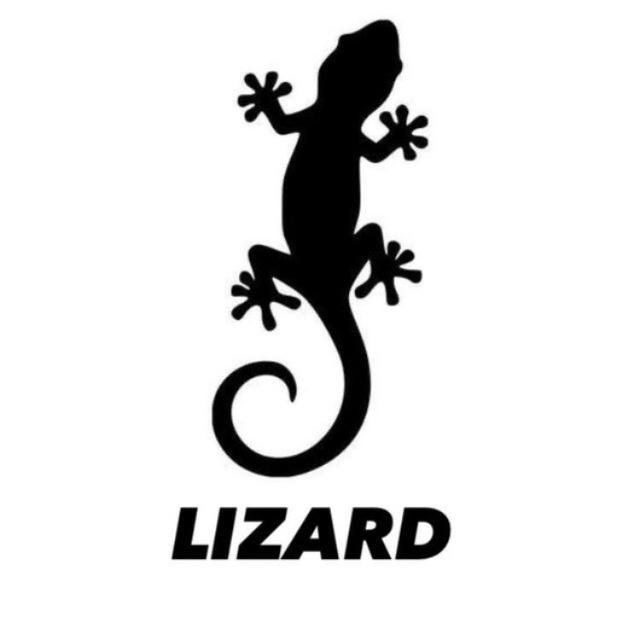 Lizard