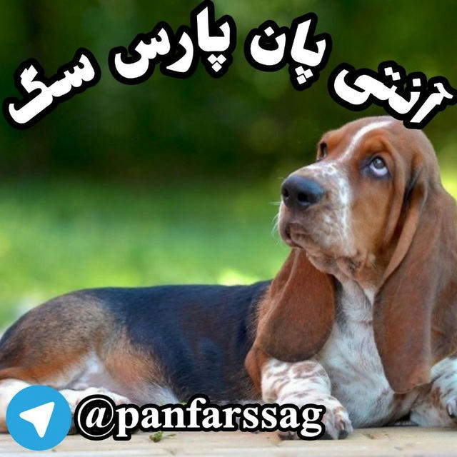 آنتی پان فارس سگ _آنتی پان پارس سگ