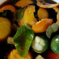 ECO ENZYME