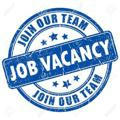Sheger Job Vacancy