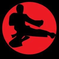 Martial Art Movies 🥋