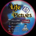 Life pictures