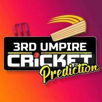3RD UMPIRE REPORTS™