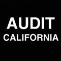 Recall Gavin Newsom and Audit California (Grassroots)