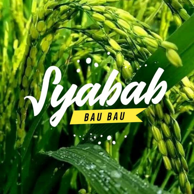 Syabab Baubau