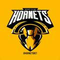 HornetsBet