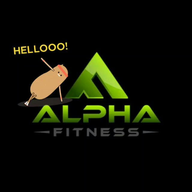 Alpha Fitness Workouts