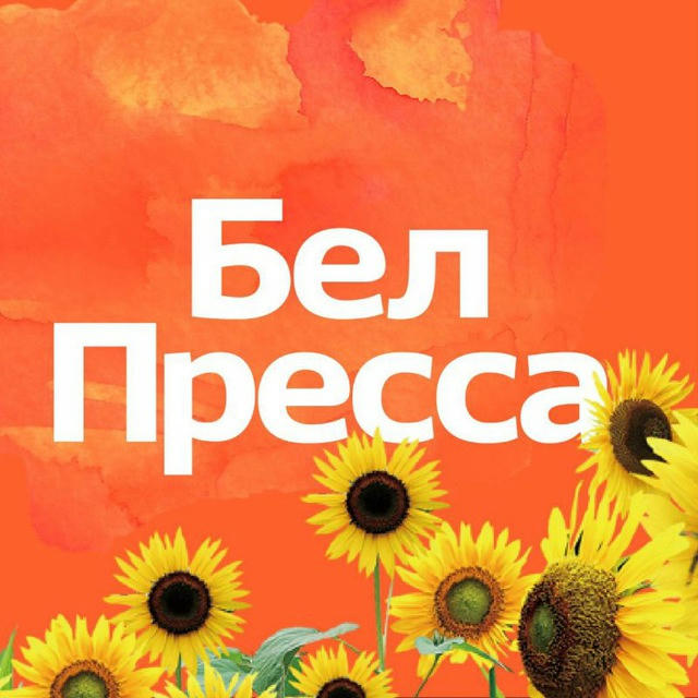 БелПресса | Новости Белгорода и Белгородской области