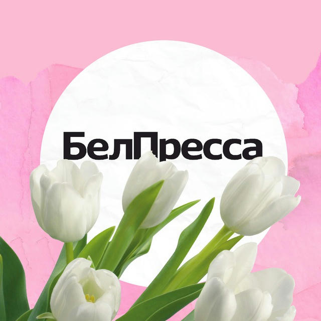 БелПресса | Новости Белгорода и Белгородской области