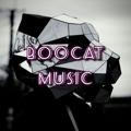 B00CAT MUSIC / ProSong / Українська музика/ Ukrainian music/ remix / Car music / Audio / Song