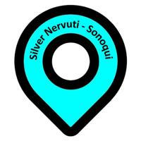 Silver Nervuti - Canale Ufficiale
