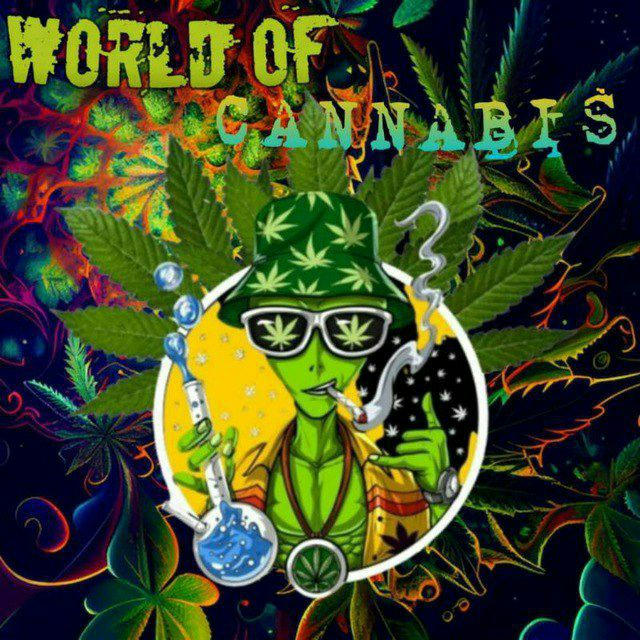 World Of Cannabis 🍁🌏