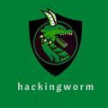 Hacking Worm