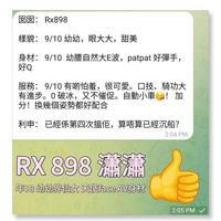 RX Report 賽後報告（真情流露）