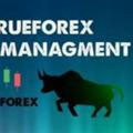 Secure Forex Account Management