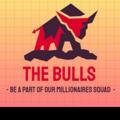 The Bulls (Trial)💰