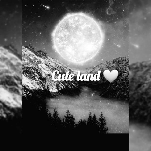 Cute land 🤍