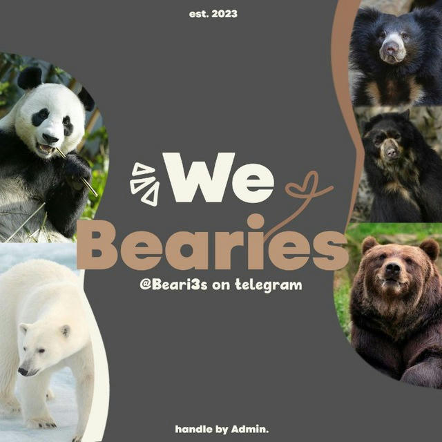 WE BEARIES — OPEN