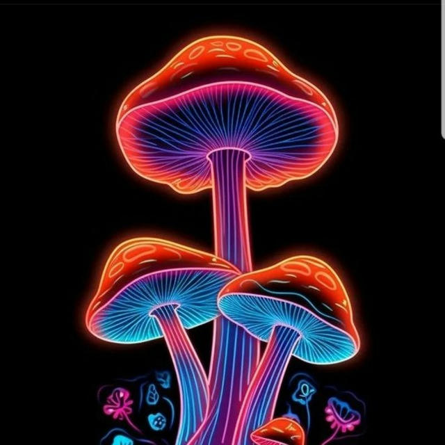 Psychedelic institute 🍄🍄