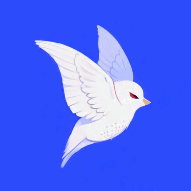 птенец