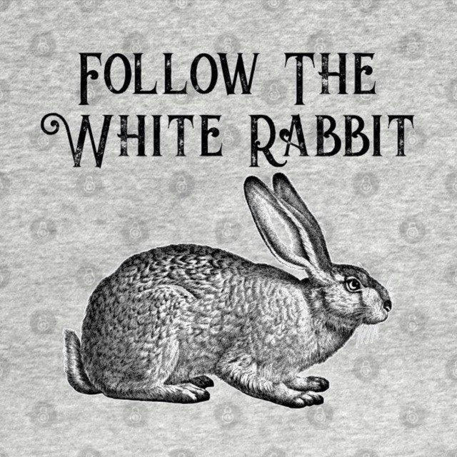 Follow The White Rabbit 🐇