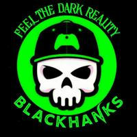 BlackHanks Hacking