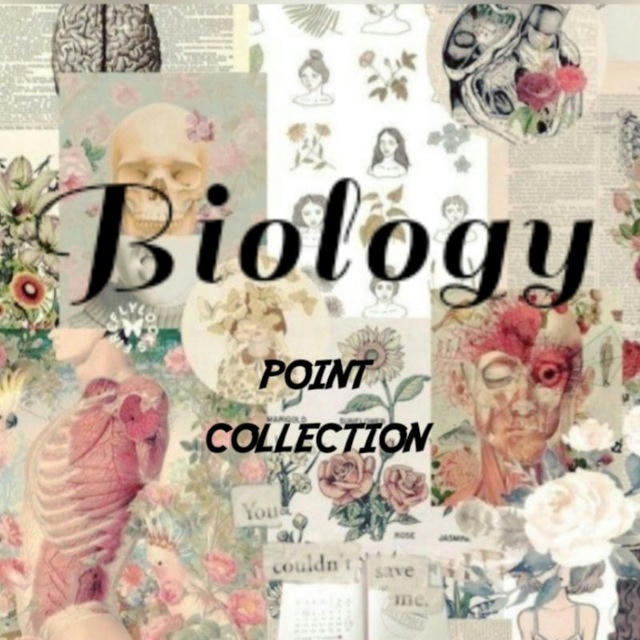 ✨Bio point collection✨