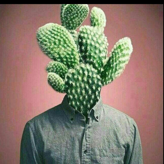 فـاٰکتــُووـس🌵