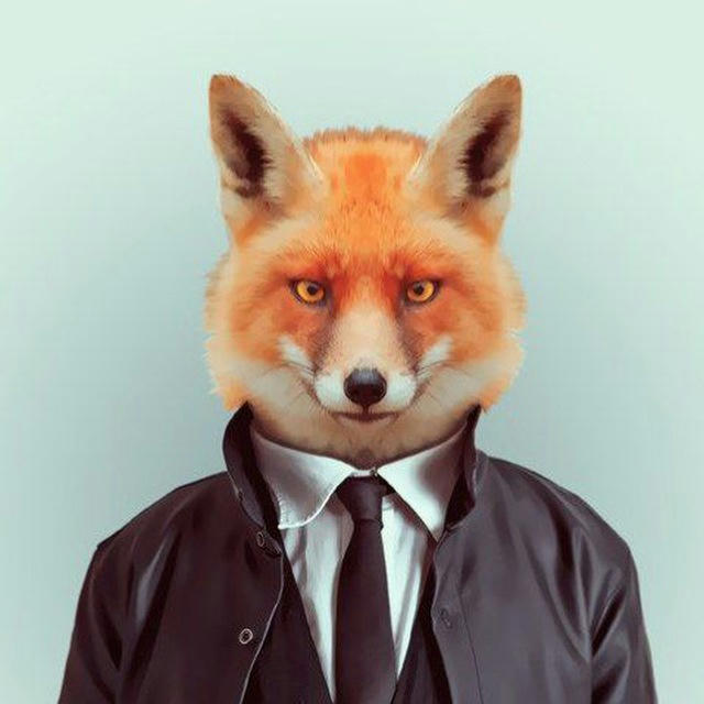 🦊ثعلب التداول🦊 CRYPTO FOX