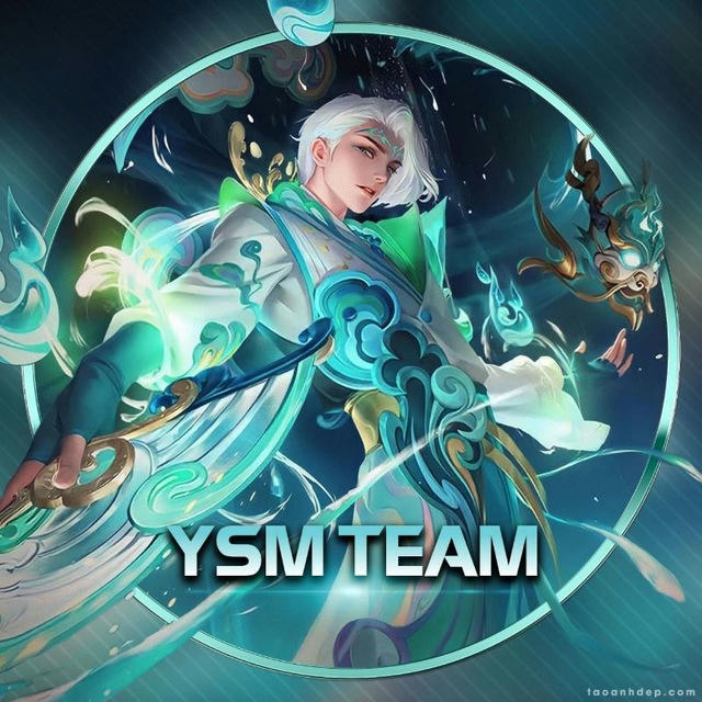 YSM TEAM CHANNEL