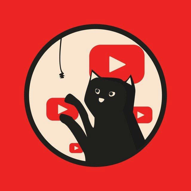 The First Youtube Cat, Pajamas - Community Takeover