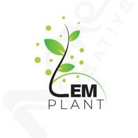 Lem plant