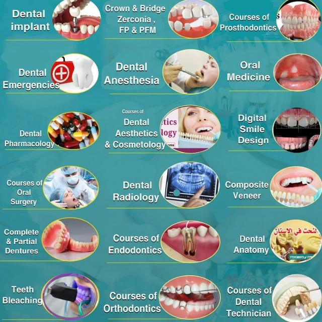 دورات طب الأسنان - اديسون