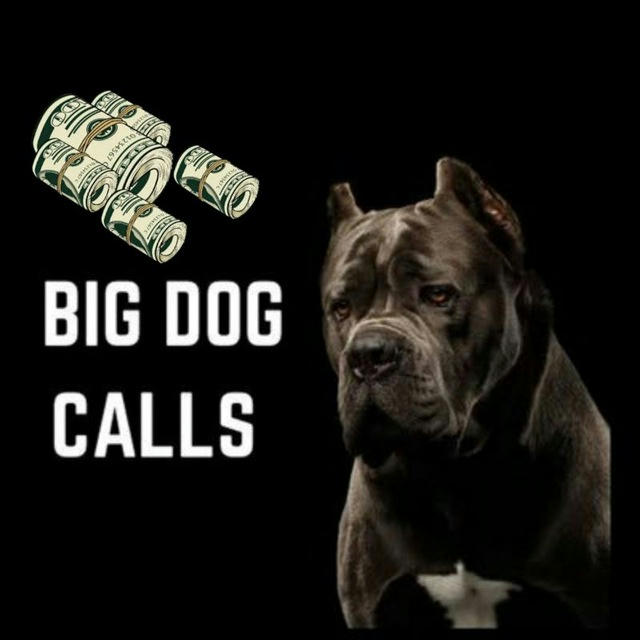 BIGDOG_CALLZ🐕