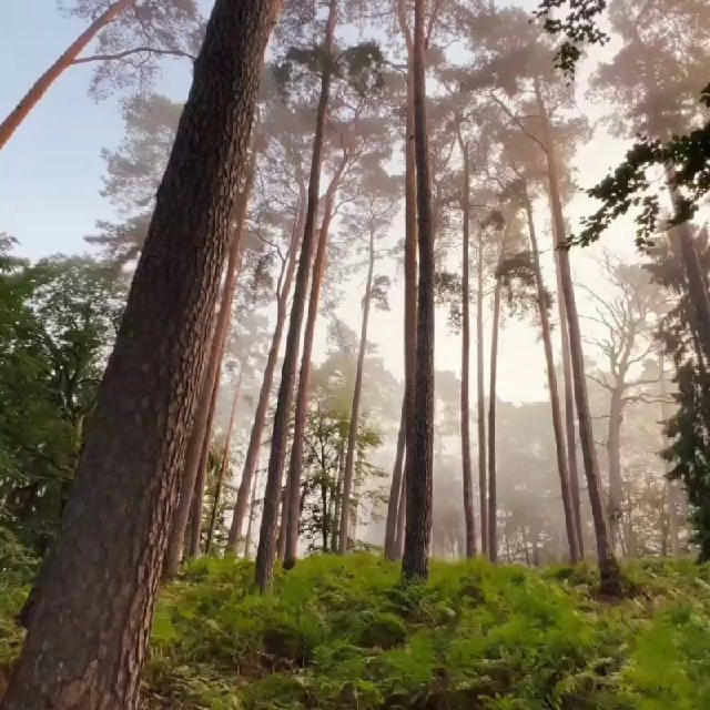 Красивые видео природы 🍀