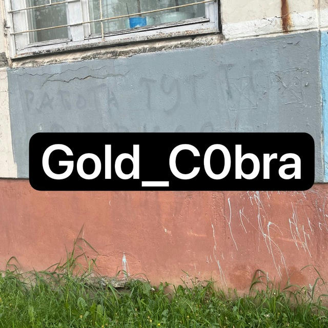 Gold_cobra 🐍