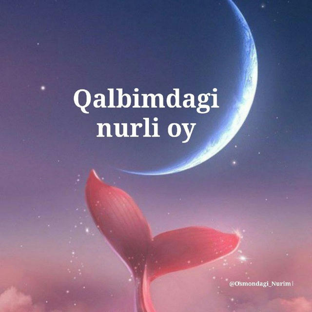 ✨QalBimdagi nUrli oY✨