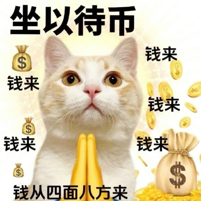 小猫的朋友圈