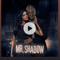 Mr shadow pocket fm